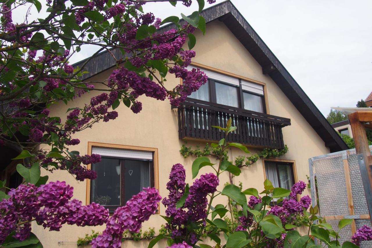Haus Sonneneck